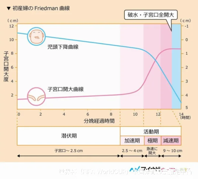 与全球球迷共赴未来