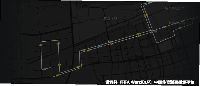 历史命中率展示